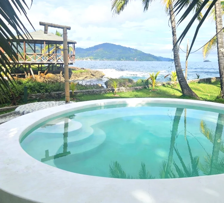 Swimming pool with ocean views surrounded by tropical greenery at Brisa Bahía.