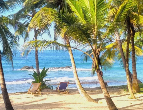 Slow Living & Mindful Productivity: Embracing Balance in a Busy World