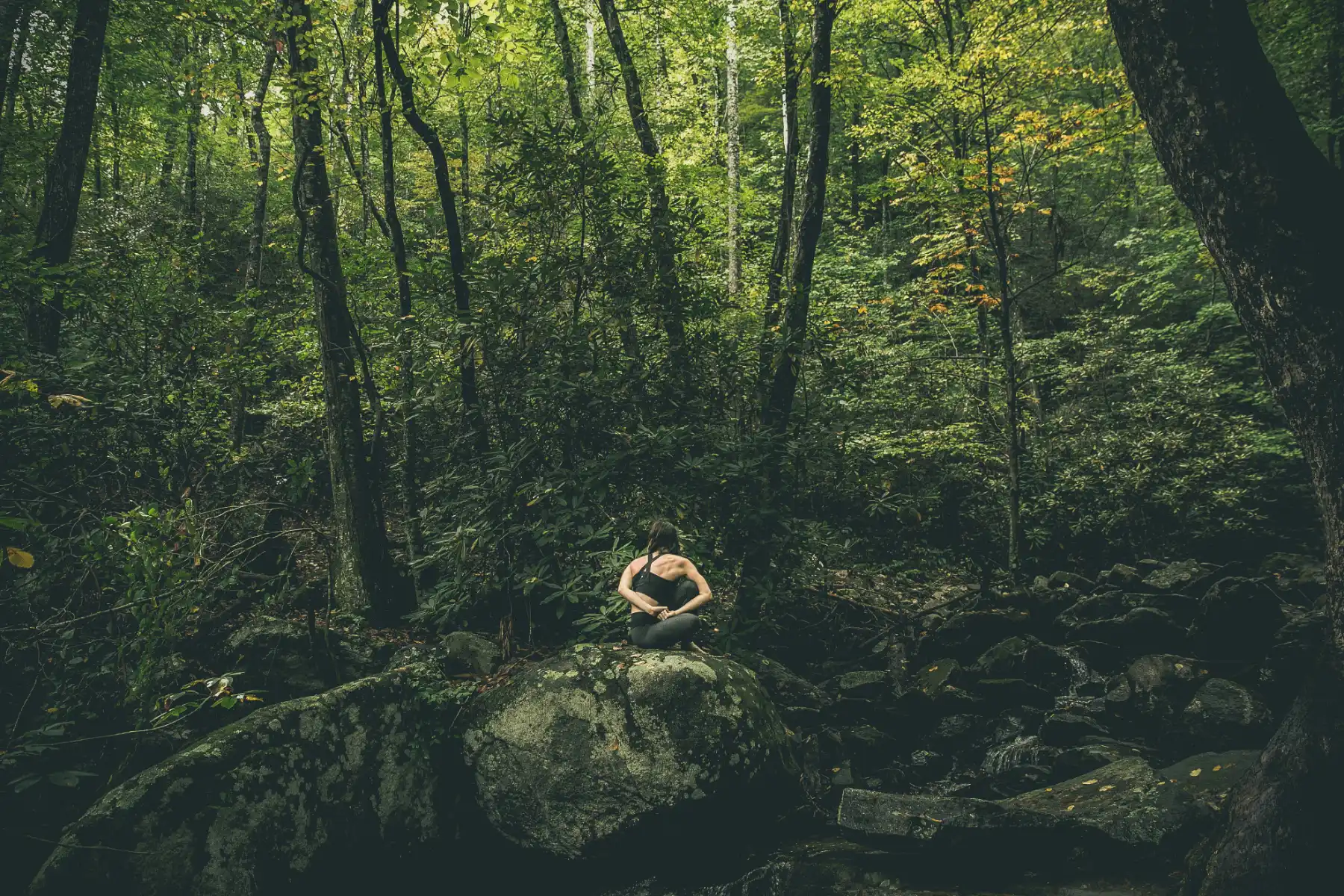 Forest bathing in lush jungle environment