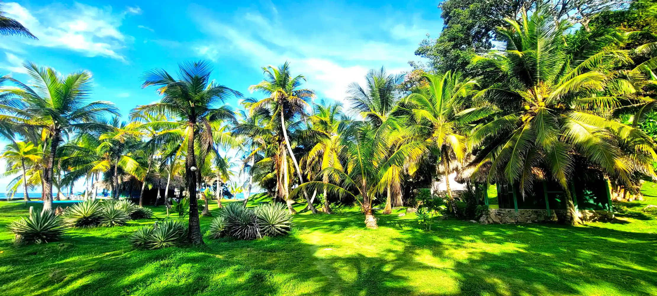 Rising Sun Retreat at Brisa Bahía
